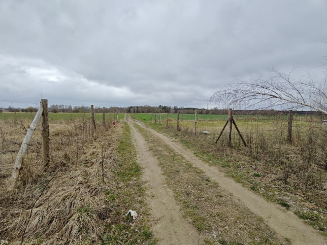 Działka Sprzedaż Wąwelnica 3