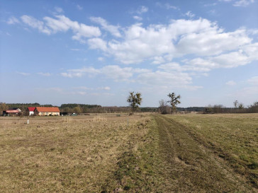 Działka Sprzedaż Żarnowo