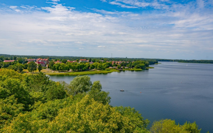 Działka Sprzedaż Ścienne 1