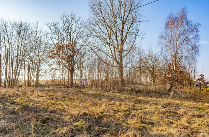Działka Sprzedaż Ścienne 8