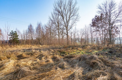Działka Sprzedaż Ścienne