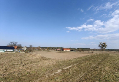 Działka Sprzedaż Żarnowo