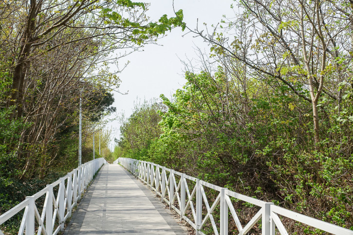 Mieszkanie Sprzedaż Dziwnów 1