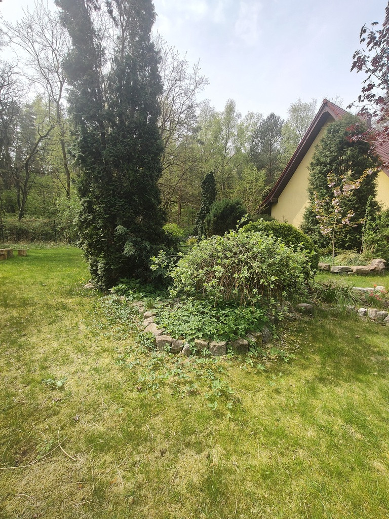 Dom Sprzedaż Stare Leśno