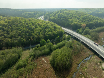 Działka Sprzedaż Wicko