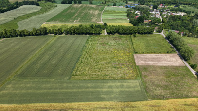 Działka Sprzedaż Świecie Kołobrzeskie