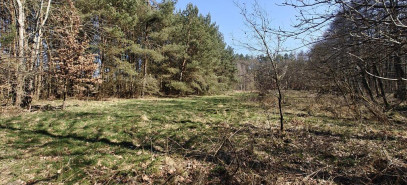 Działka Sprzedaż Nowogard