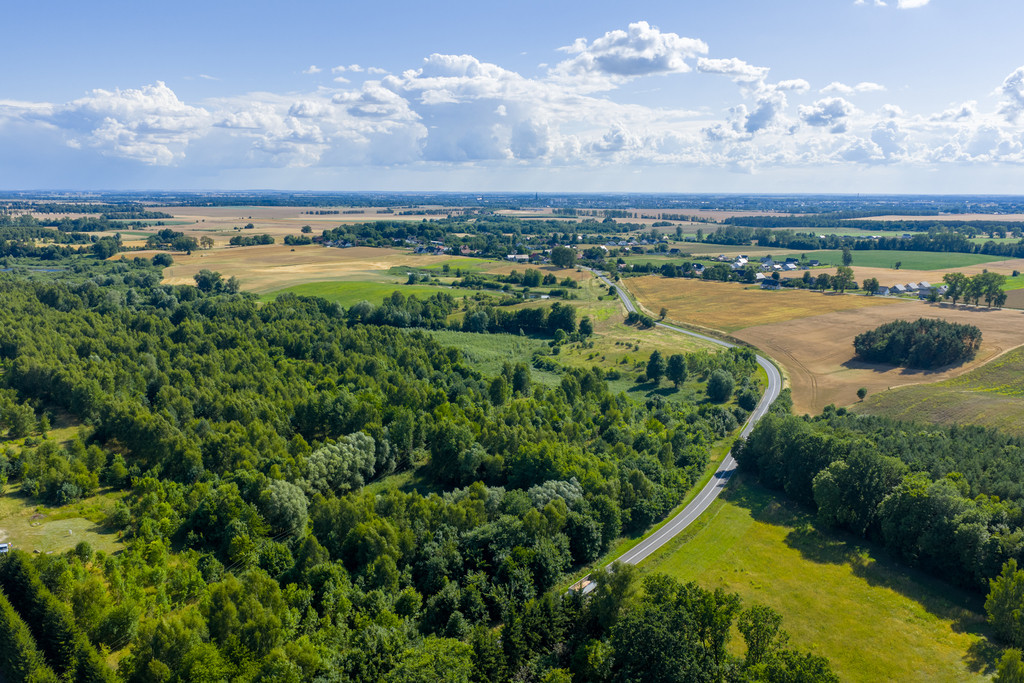 Działka Sprzedaż Grabowo