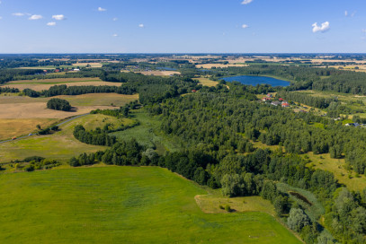Działka Sprzedaż Grabowo