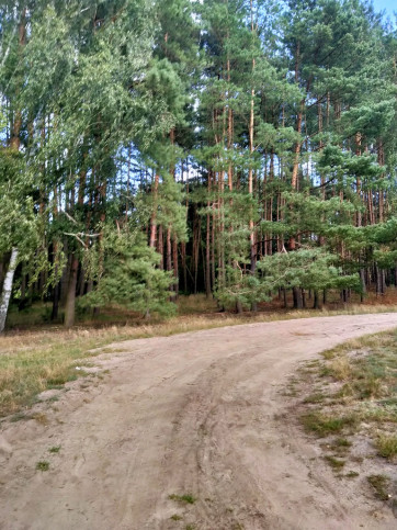 Działka Sprzedaż Tanowo Szczecińska 3