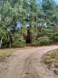 Działka Sprzedaż Tanowo Szczecińska