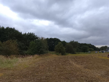 Działka Sprzedaż Stara Dąbrowa