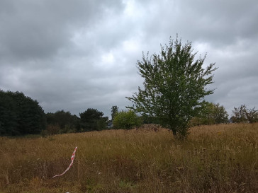 Działka Sprzedaż Stara Dąbrowa