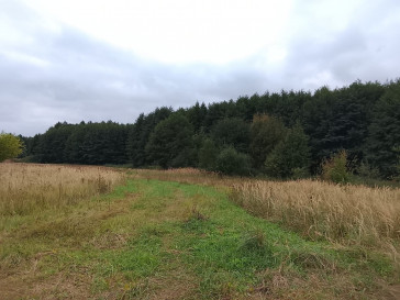 Działka Sprzedaż Stara Dąbrowa