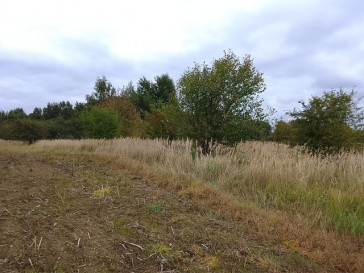 Działka Sprzedaż Stara Dąbrowa