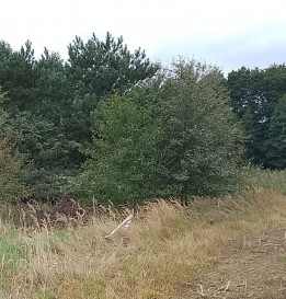 Działka Sprzedaż Stara Dąbrowa