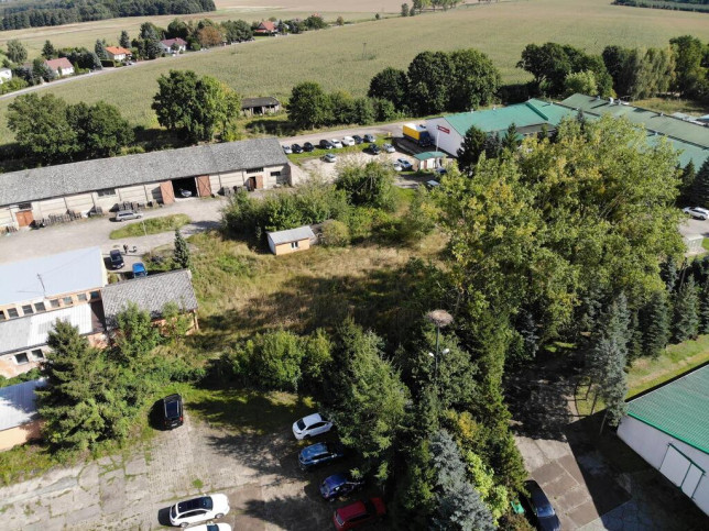 Działka Sprzedaż Osina 8