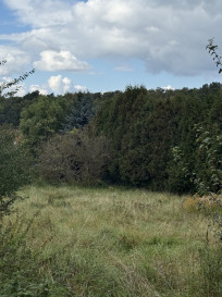 Działka Sprzedaż Szczecin Pilchowo