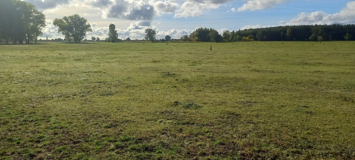 Działka Sprzedaż Borzysławiec 3