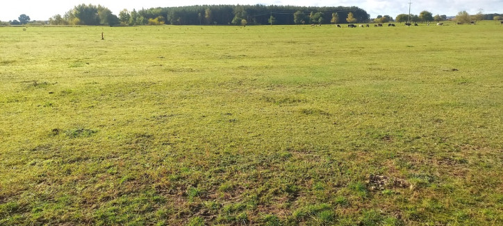 Działka Sprzedaż Borzysławiec 4
