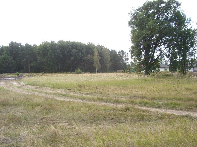 Działka Sprzedaż Dobra 3