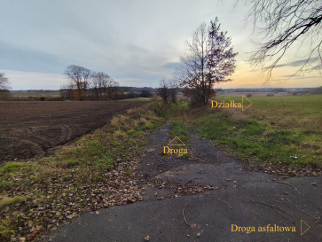 Działka Sprzedaż Wojcieszyn