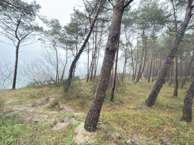 Mieszkanie Sprzedaż Międzywodzie Westerplatte 17