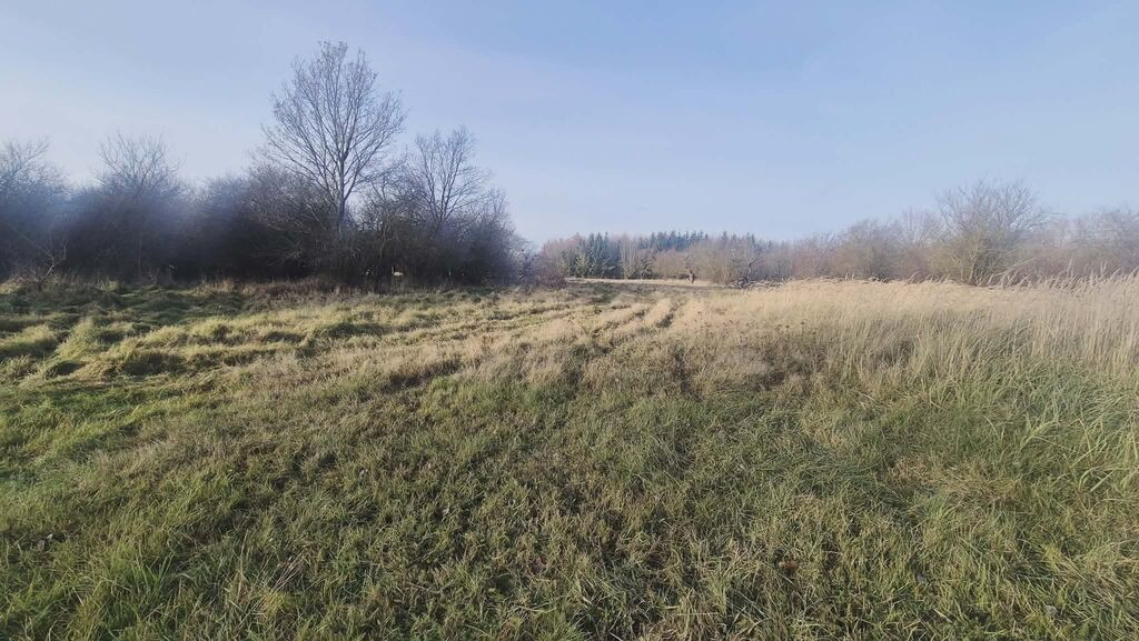 Działka Sprzedaż Tatynia