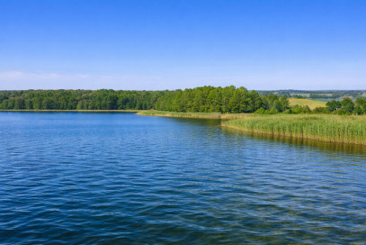 Działka Sprzedaż Sielsko