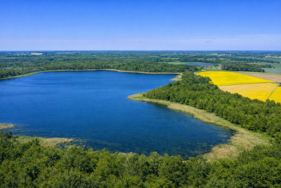 Działka Sprzedaż Sielsko