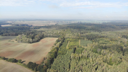 Działka Sprzedaż Rów