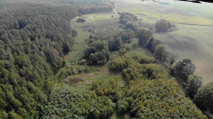 Działka Sprzedaż Rów 2