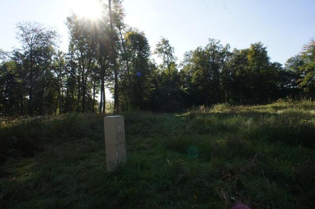 Działka Sprzedaż Dobra 6