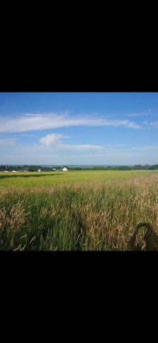 Działka Sprzedaż Szczecin Skolwin Inwalidzka 1