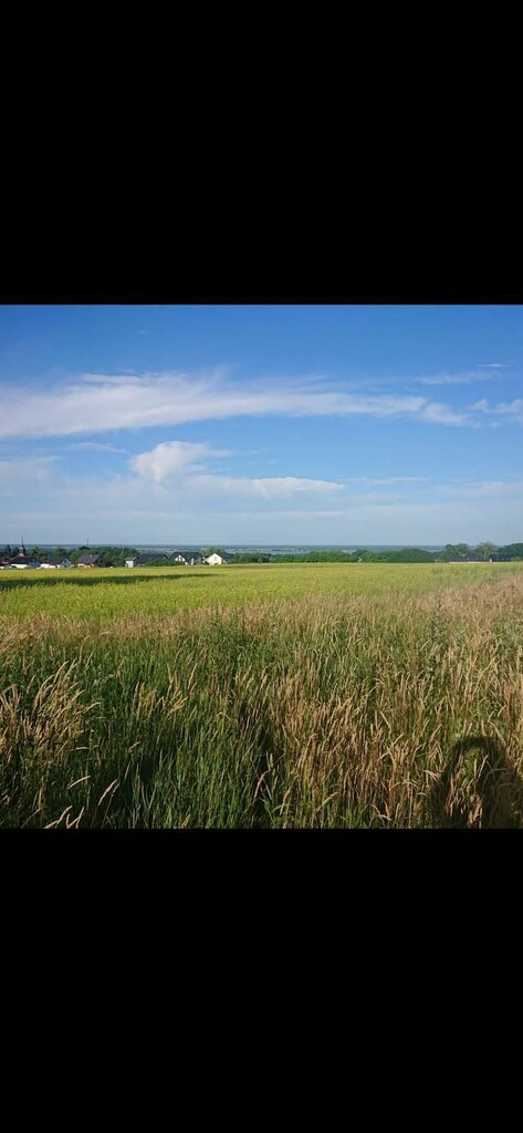 Działka Sprzedaż Szczecin Skolwin Inwalidzka