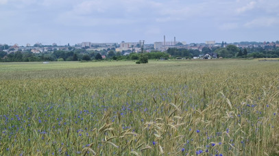 Działka Sprzedaż Stargard