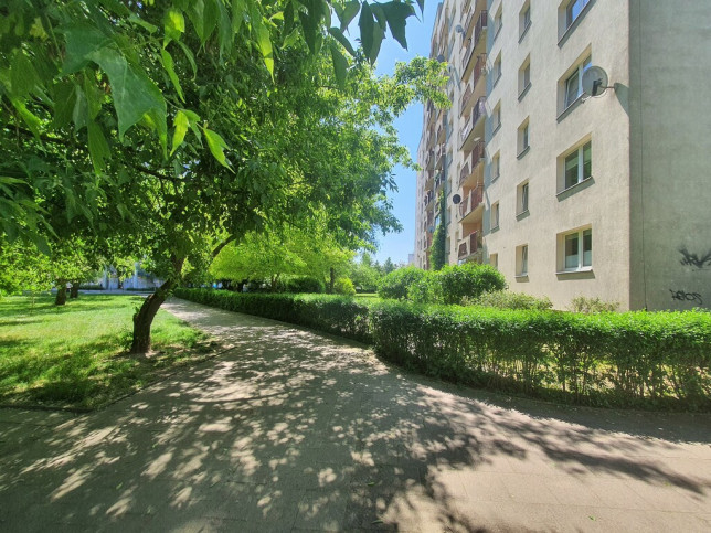 Mieszkanie Wynajem Szczecin Książąt Pomorskich Ks. bpa Władysława Bandurskiego 16
