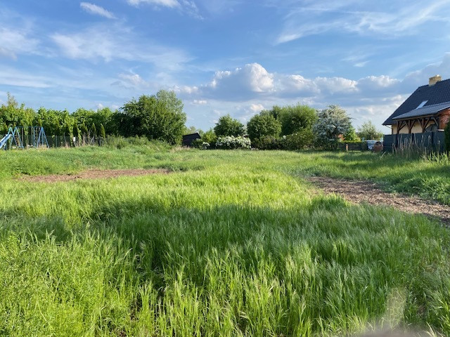 Działka Sprzedaż Kopice 1