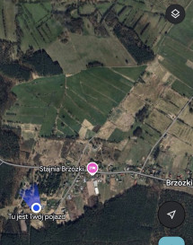 Działka Sprzedaż Brzózki