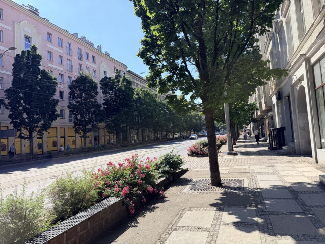 Mieszkanie Sprzedaż Szczecin Centrum Bolesława Krzywoustego 11