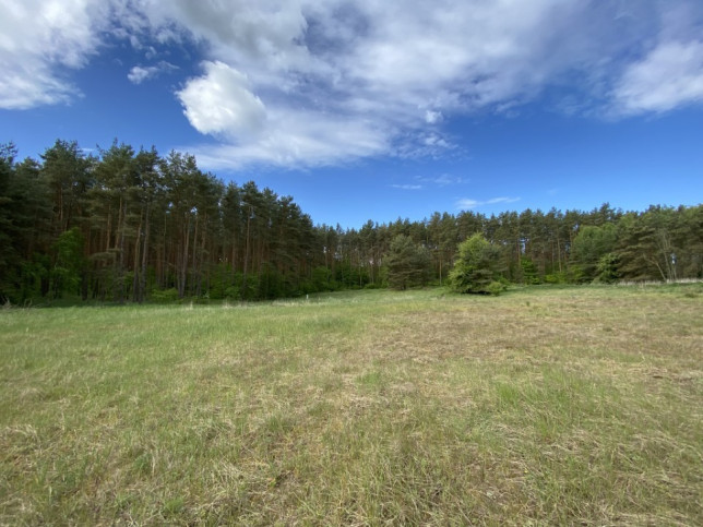 Działka Sprzedaż Buk 14