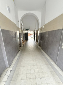 Mieszkanie Sprzedaż Szczecin Centrum