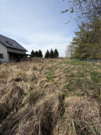 Działka Sprzedaż Rurzyca Skryta