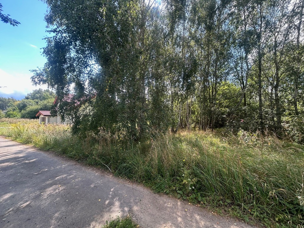 Działka Sprzedaż Dołuje 3