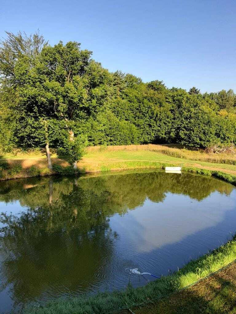 Dom Sprzedaż Golęszany