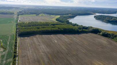 Działka Sprzedaż Wełtyń