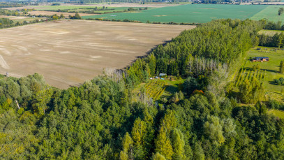 Działka Sprzedaż Wełtyń