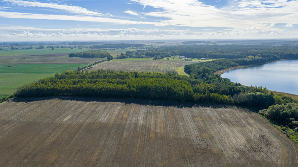 Działka Sprzedaż Wełtyń