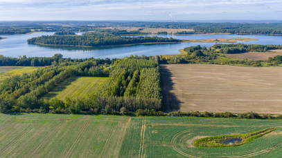 Działka Sprzedaż Wełtyń