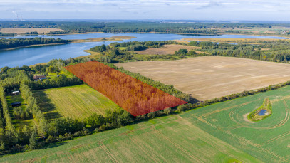 Działka Sprzedaż Wełtyń